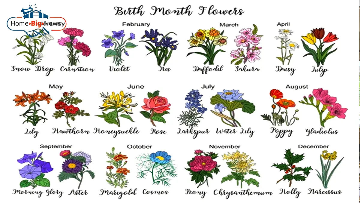 What Are Australian Birth Flowers How Do They Look Homebignews