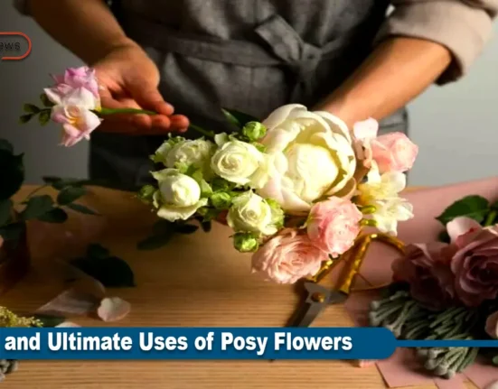 Posy Flowers