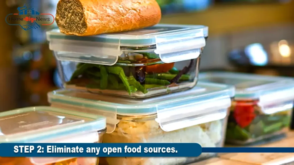 Eliminate any open food sources