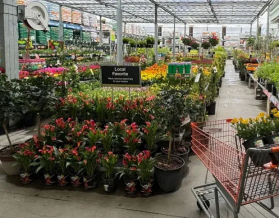 home depot spring sale 2024