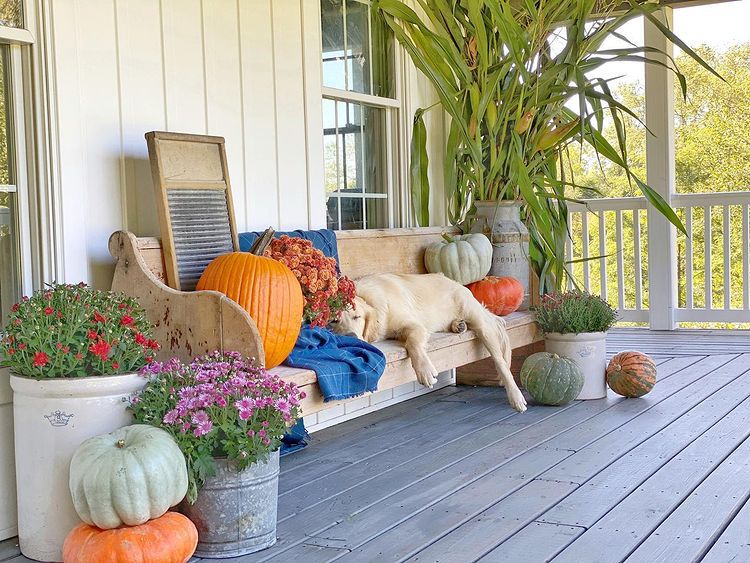 modern fall porch decor