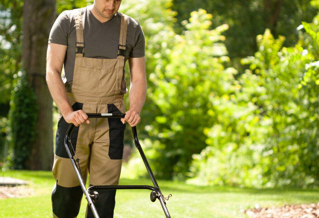 Top 7 Lawn Care and Landscaping Trends to Transform Your Outdoor Space