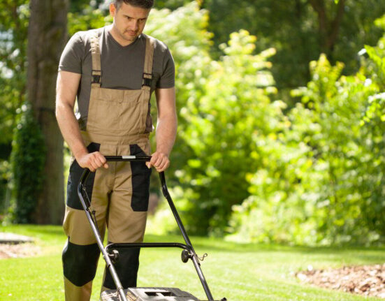 Top 7 Lawn Care and Landscaping Trends to Transform Your Outdoor Space