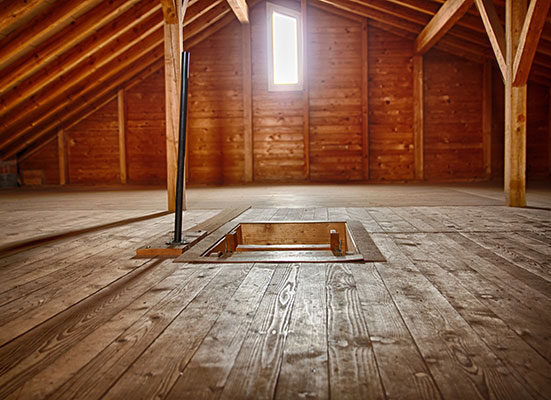 The Cost of Attic Mold Removal: What You Should Expect