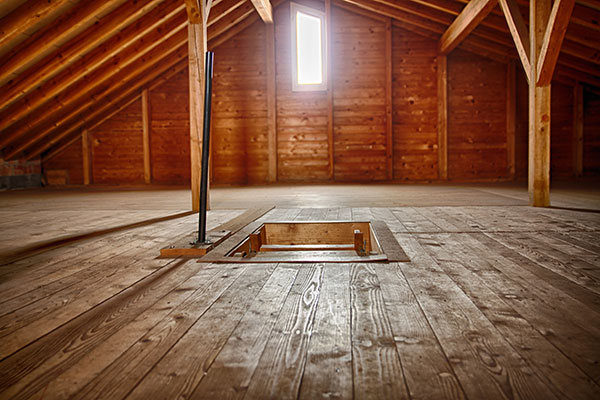 The Cost of Attic Mold Removal: What You Should Expect