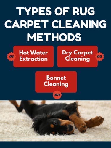 Rug Carpet Cleaning Albuquerque: A Guide for Residents