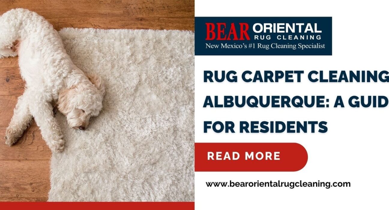 Rug Carpet Cleaning Albuquerque: A Guide for Residents