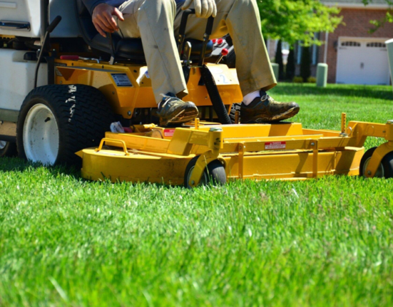 How to Choose the Best Lawn Care Services for Your Needs