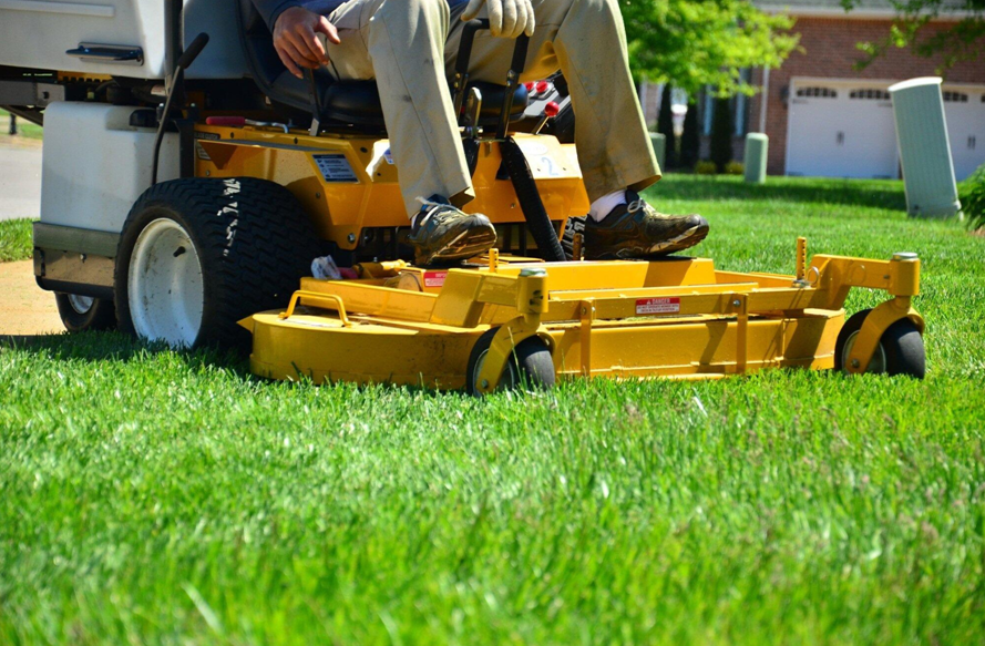 How to Choose the Best Lawn Care Services for Your Needs