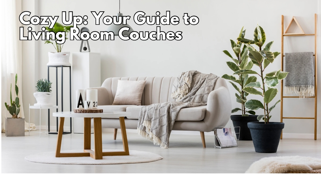 Cozy Up: Your Guide to Living Room Couches