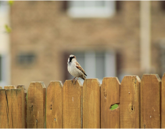 Top 6 Innovative Fence Designs to Enhance Your Outdoor Space