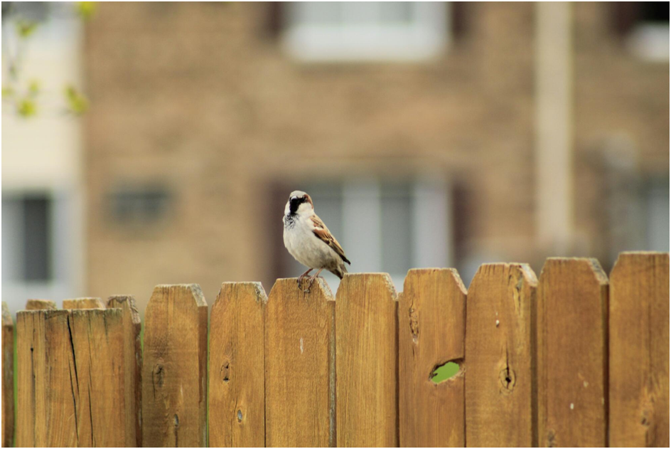 Top 6 Innovative Fence Designs to Enhance Your Outdoor Space