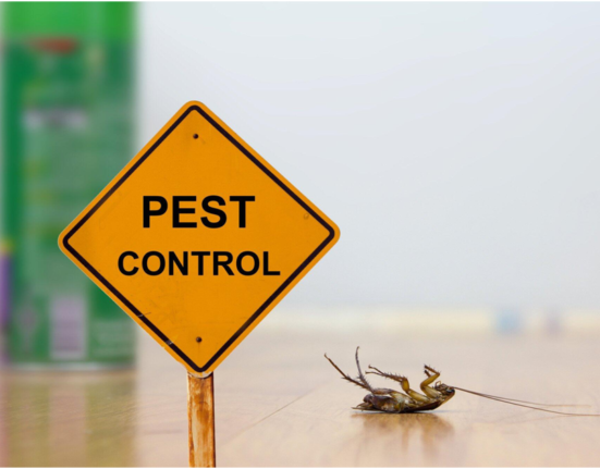 Top 9 Emergency Pest Control Tips for Homeowners