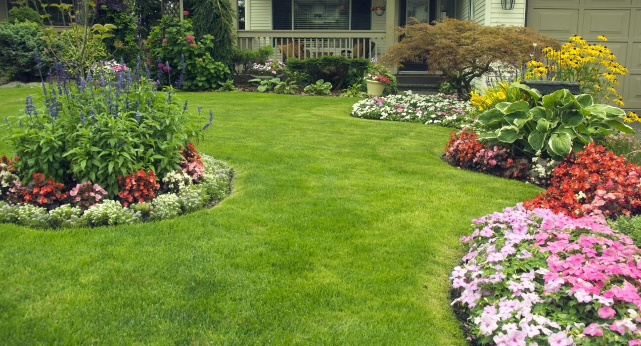 How to Choose the Right Grass Treatments for Your Lawn Conditions