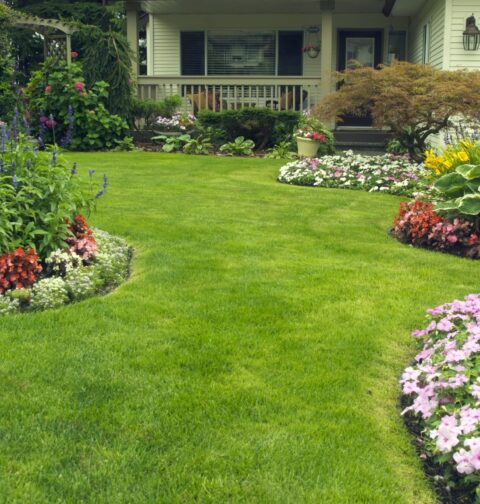 How to Choose the Right Grass Treatments for Your Lawn Conditions