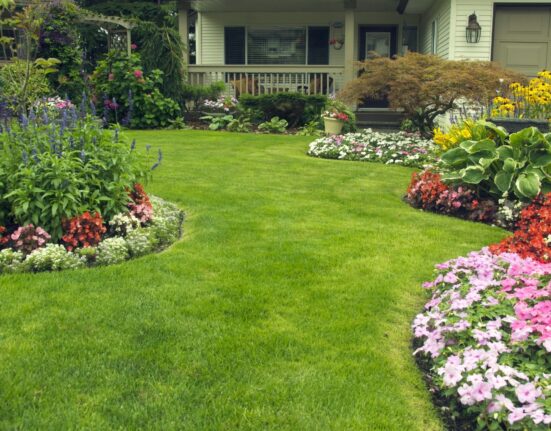 How to Choose the Right Grass Treatments for Your Lawn Conditions