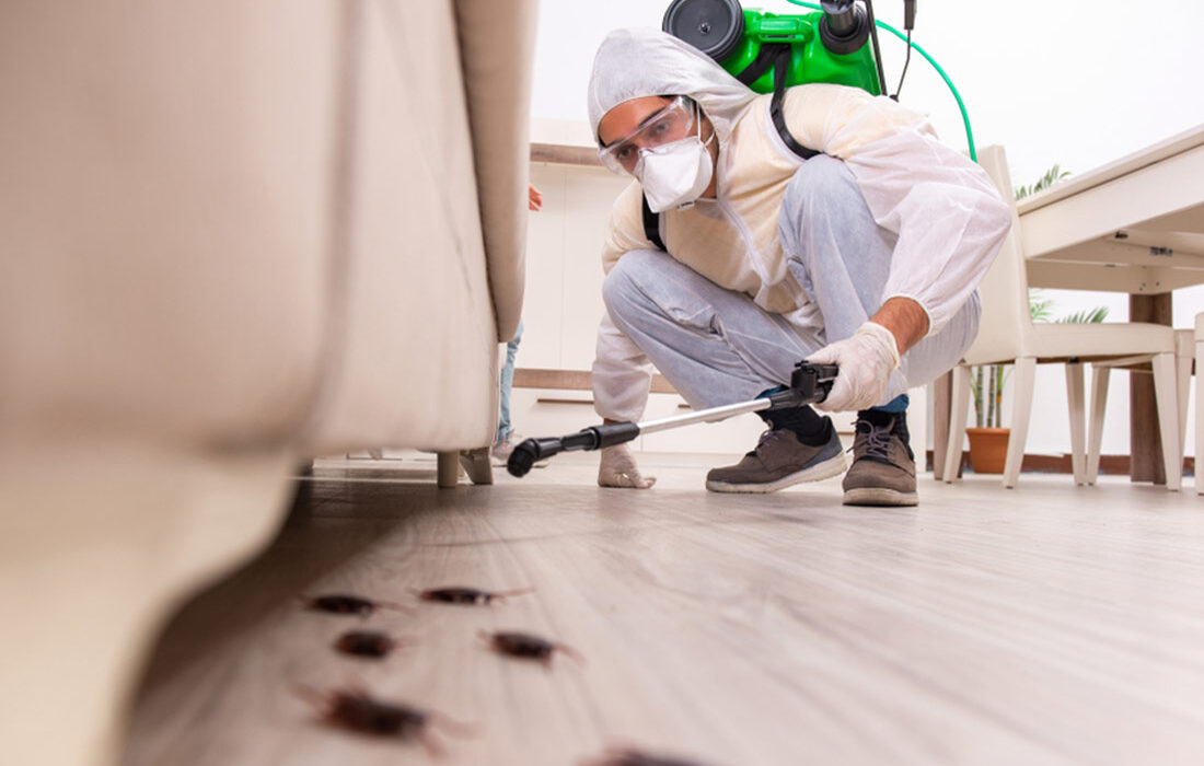 What Is Pest Control at Home?