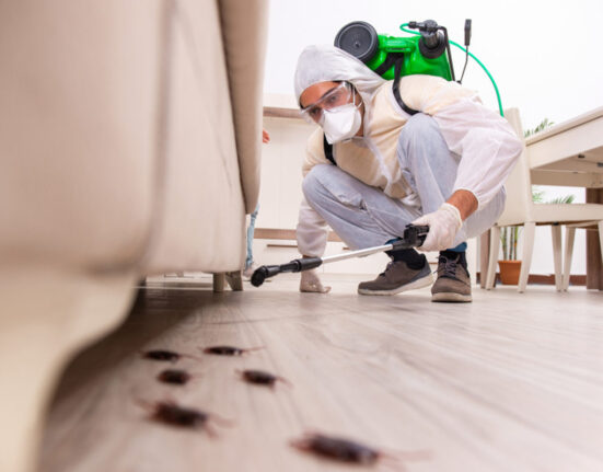 What Is Pest Control at Home?