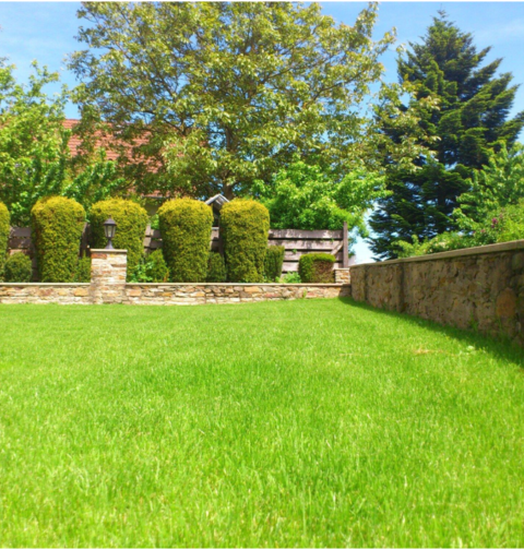 The Benefits of Professional Landscaping Lawn Care for Your Home