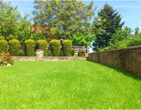 The Benefits of Professional Landscaping Lawn Care for Your Home