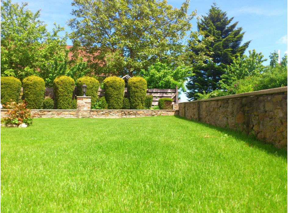 The Benefits of Professional Landscaping Lawn Care for Your Home