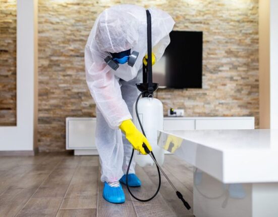 Pest Control in Maintaining