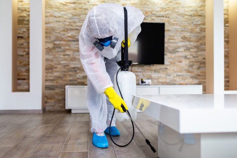 Pest Control in Maintaining