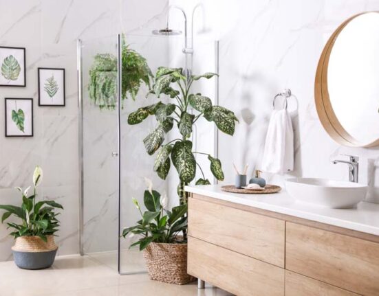 Bathroom Plants