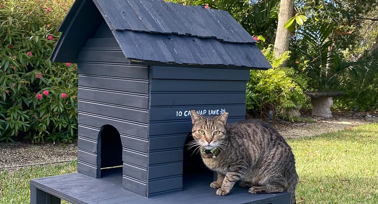 Outdoor Cat House