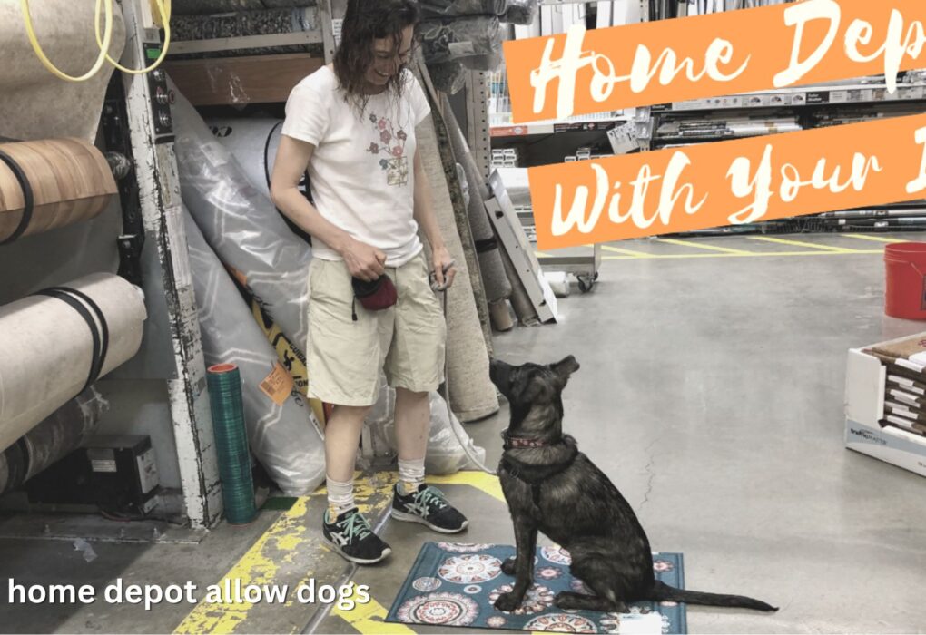 Does Home Depot Allow Dogs?