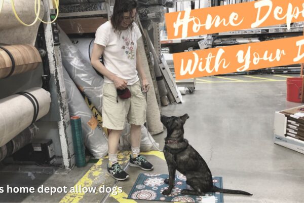 Does Home Depot Allow Dogs?
