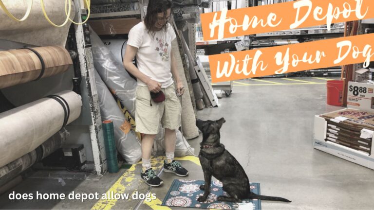 Does Home Depot Allow Dogs?