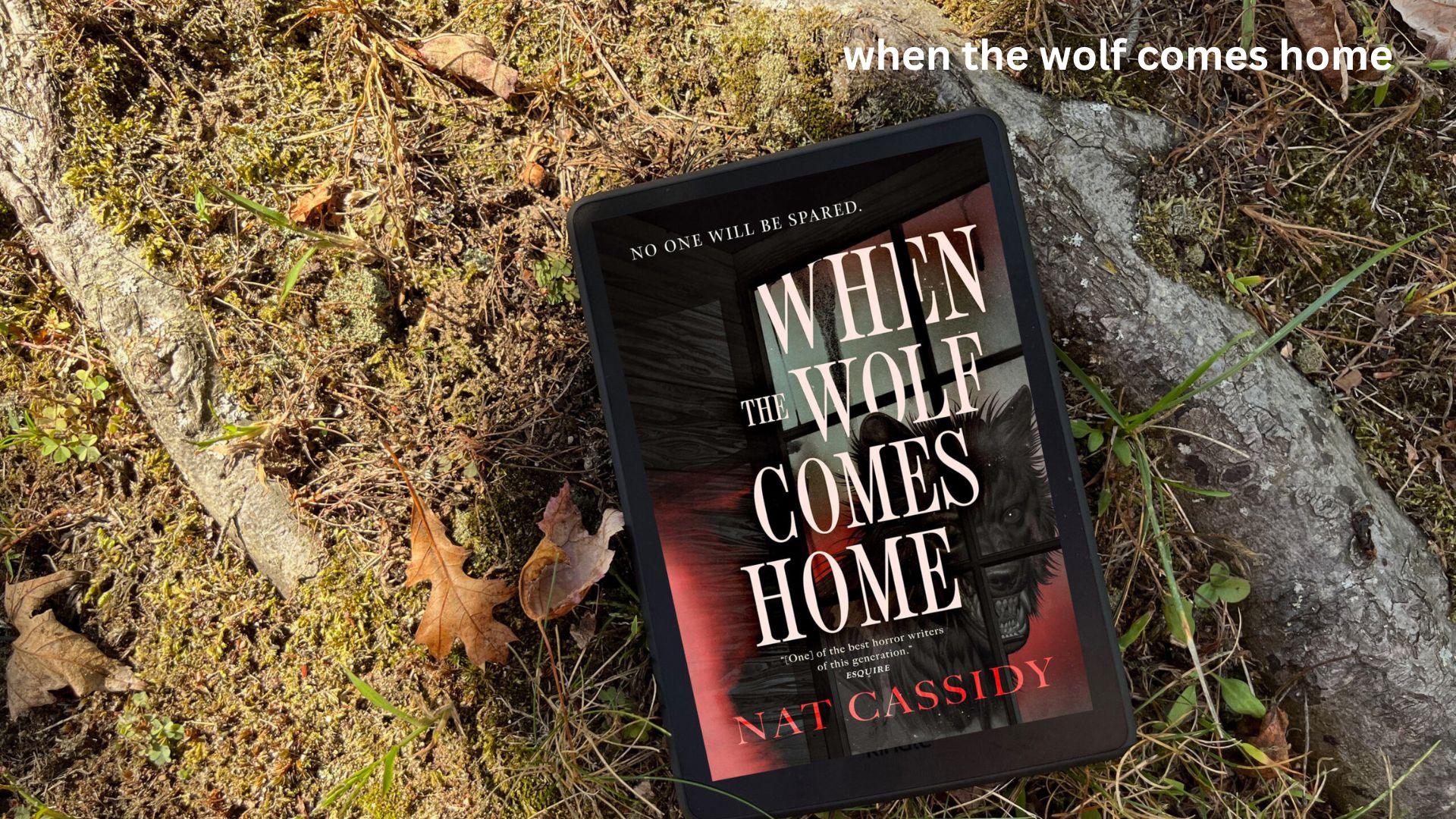 when the wolf comes home