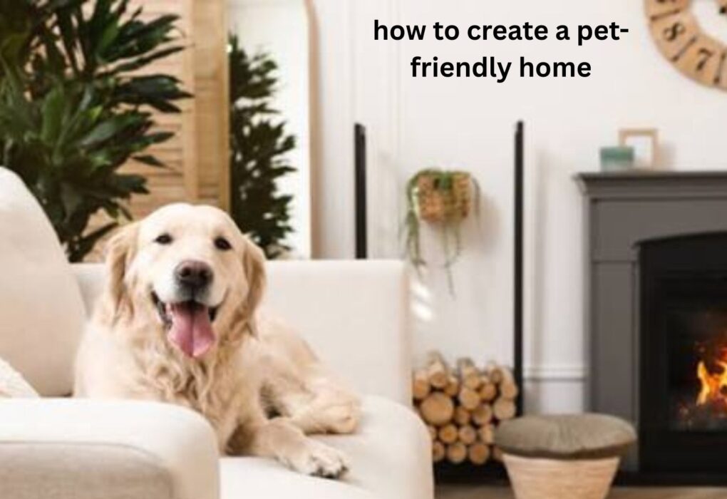 How to Create a Pet-Friendly Home