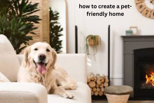 How to Create a Pet-Friendly Home That Works