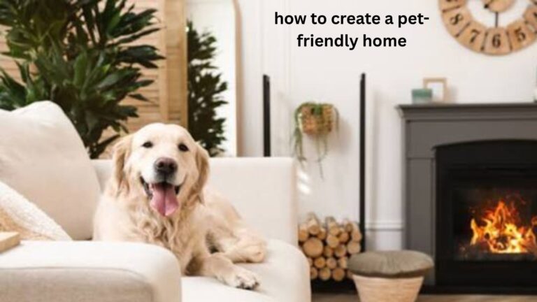 How to Create a Pet-Friendly Home