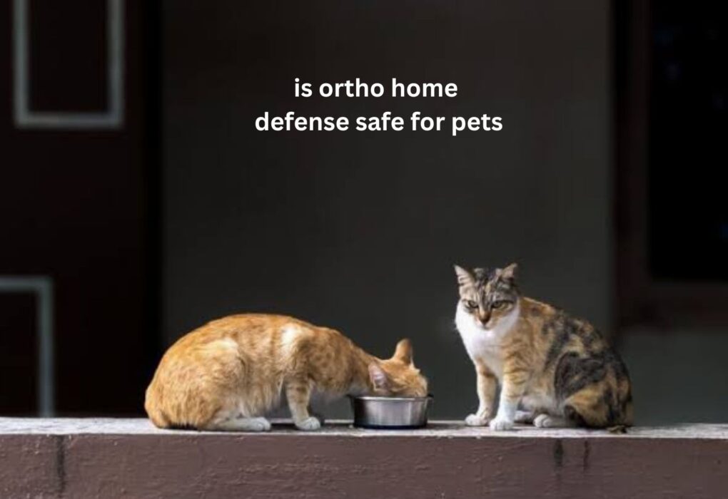 Is Ortho Home Defense Safe for Pets?