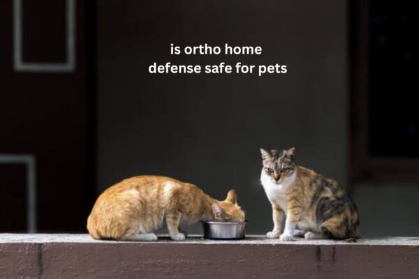 Is Ortho Home Defense Safe for Pets?