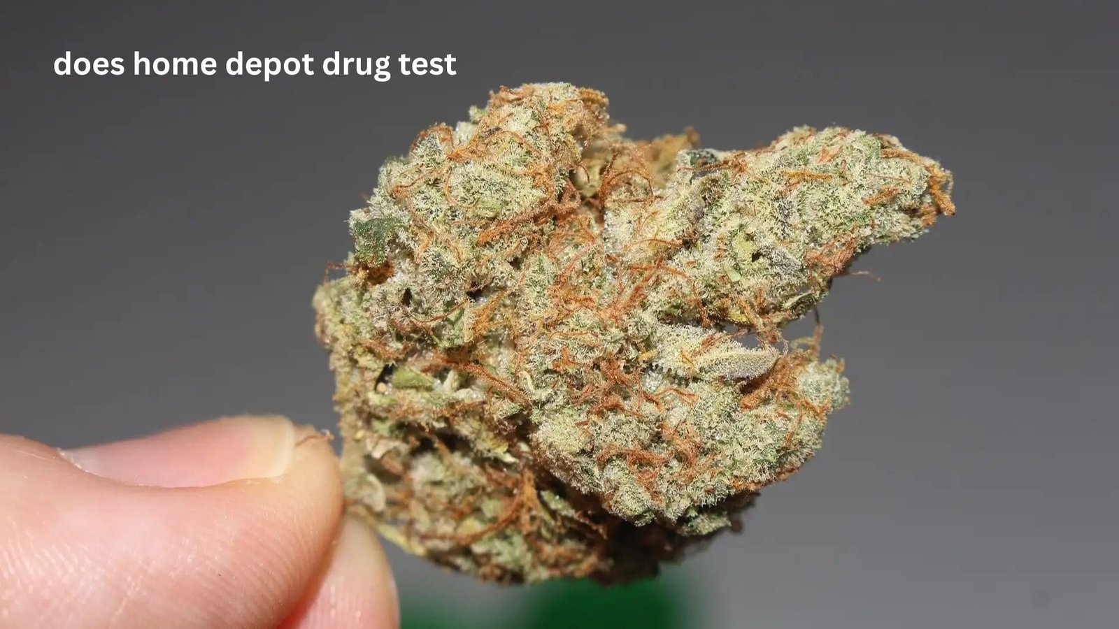 Does Home Depot Drug Test