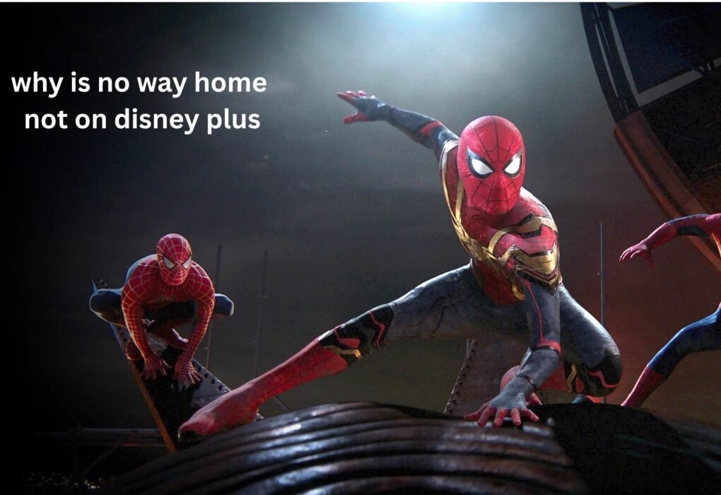 Why Is No Way Home Not on Disney Plus?