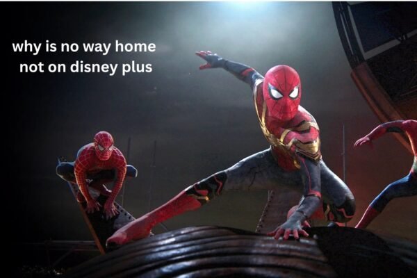 Why Is No Way Home Not on Disney Plus?
