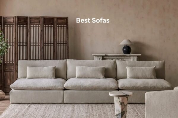 Best Sofas: How to Choose the Right One
